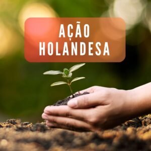 Cadastro Ação Holandesa