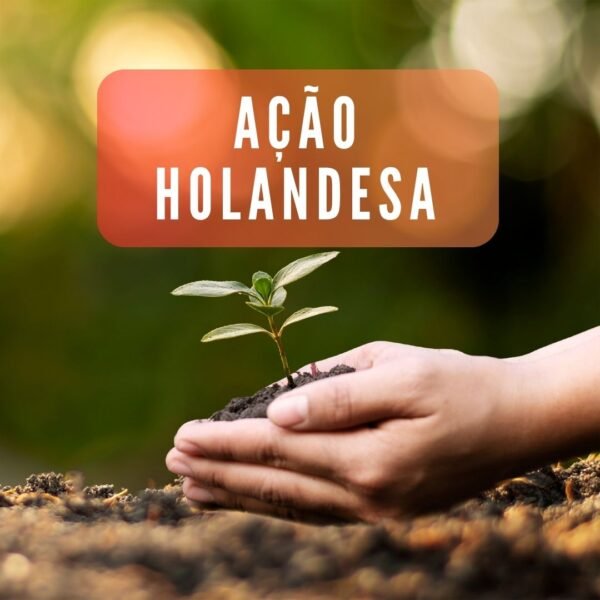 Cadastro Ação Holandesa